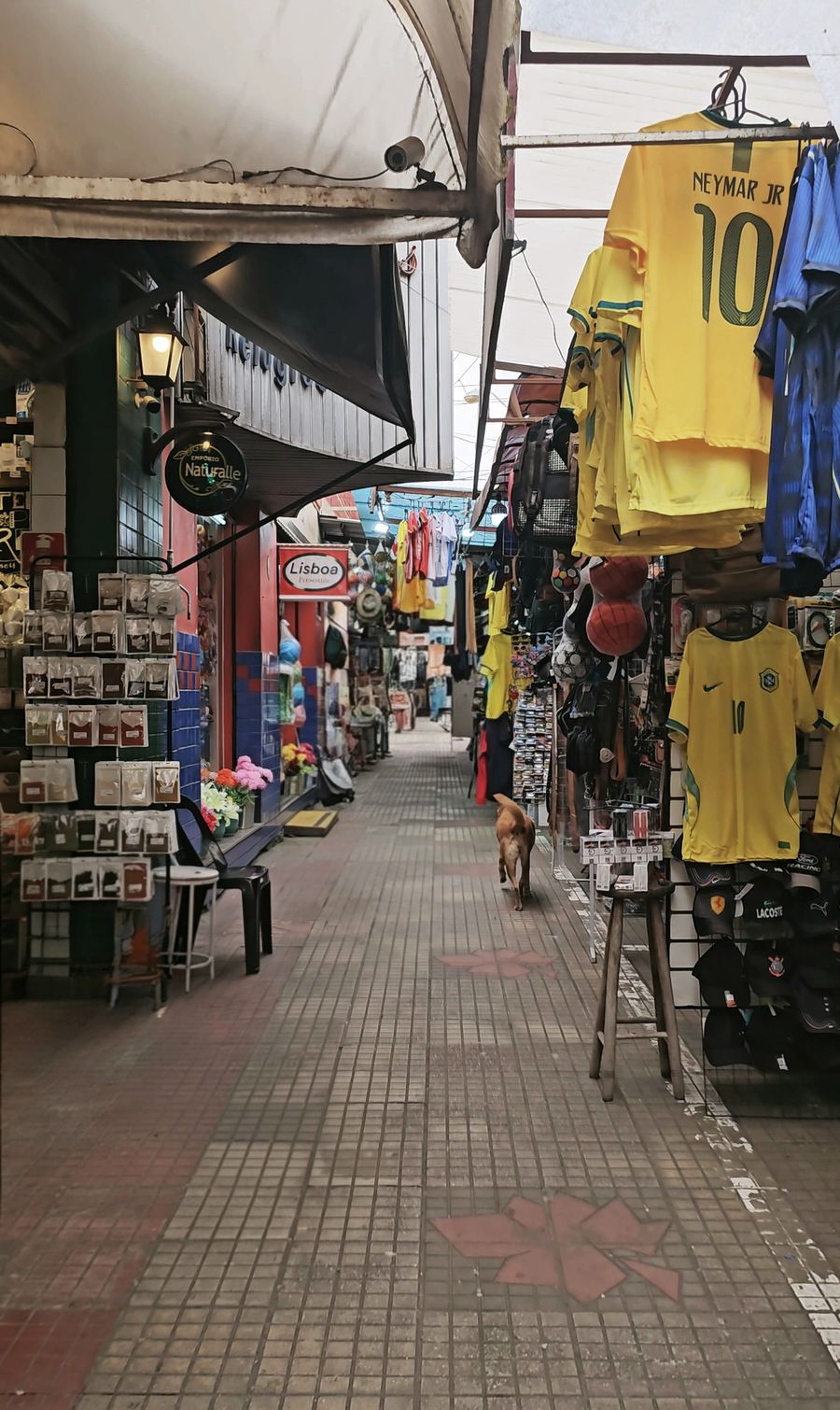 Galería de venta de ropa